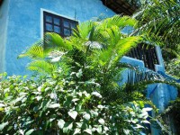 /album/sitio-patioba/a03-jpg2/