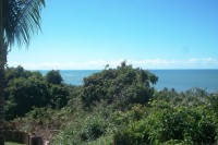 /album/paraiso-tropical/a100-2446-jpg/