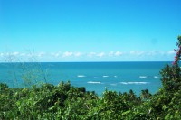 /album/paraiso-tropical/a100-2447-jpg/