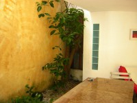 /album/casa-de-vidro/dscn3860-jpg/