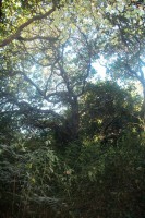 /album/brisas/a100-2709-jpg/