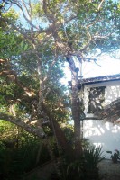 /album/brisas/a100-2710-jpg/