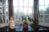 /album/brisas/a100-2775-jpg/