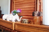 /album/luxury/a100-2786-jpg/