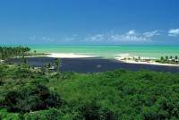 /album/a-vontade-em-caraiva/a09-jpg3/